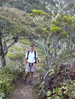 Lange wandeling naar de top