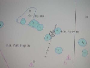 C-Map