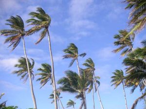 Het "The Beach" gevoel