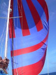 Spinnaker